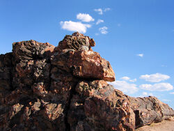 Petrifiedforest laban