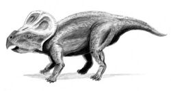 Protoceratops BW