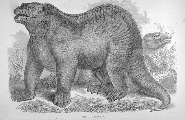 File:Goodrich Iguanodon.jpg