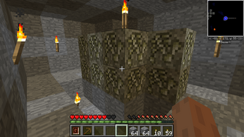 BoneCraft1 ss
