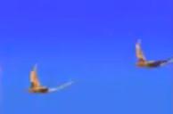File:Flying Mantas.jpg