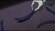 Plumes.png
