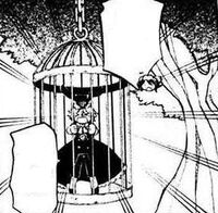 Rabbit in cage