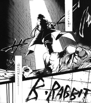 B-Rabbit