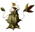 Nepenthes