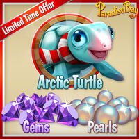 Arcticturtle promo