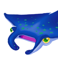 Portrait MantaRay.png