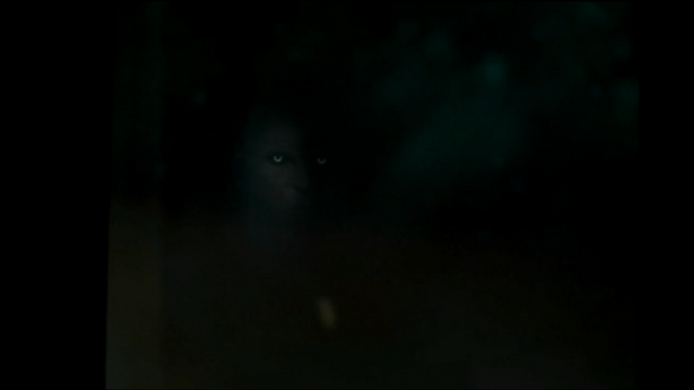 File:Wererwolf 2.png