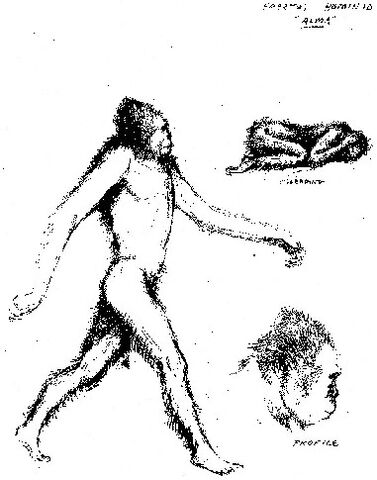 File:Alma.jpg