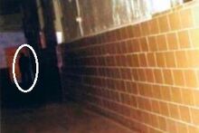 Shadow-people-122013zz7