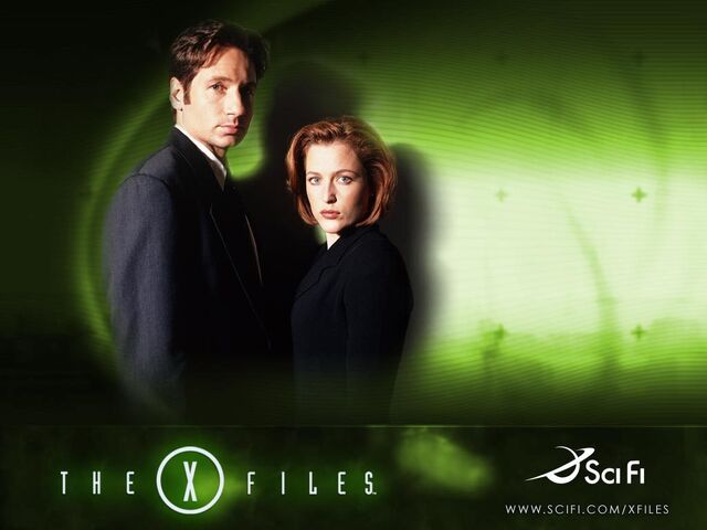 File:The-X-Files-the-x-files-79183 1024 768.jpg