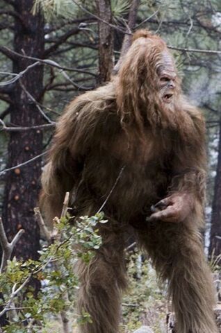File:Sasquatch.jpg