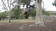 MeParkour