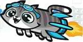 Rocket Cat