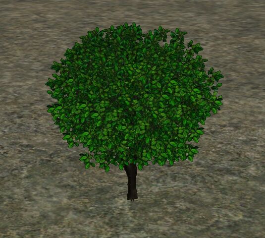 File:RoundHedge.jpg