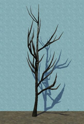 File:SmallScorchedTree.jpg
