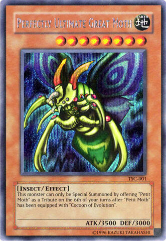 Archivo:Insectos.jpg