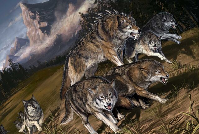 File:Wolves.jpg