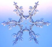 Nieve-803056