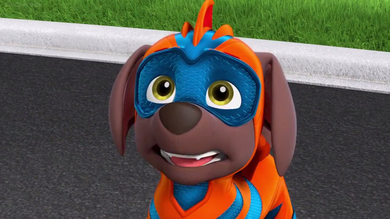 zuma paw patrol girl or boy zuma paw patrol girl or boy
