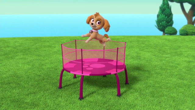 File:Vlcsnap-2015-04-10-23h39m29s163.png