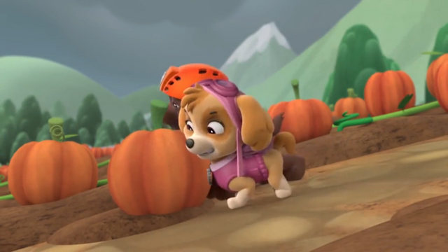 File:Push dat Pumpkin.png