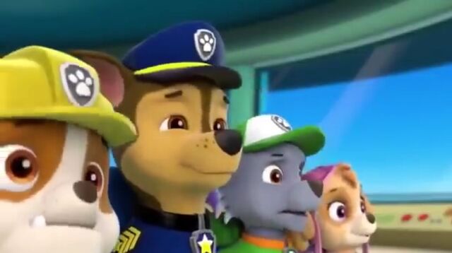 File:Chasepukeeyesopen2.jpeg