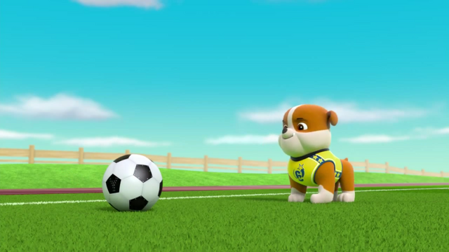 File:Pups Soccer 50.png