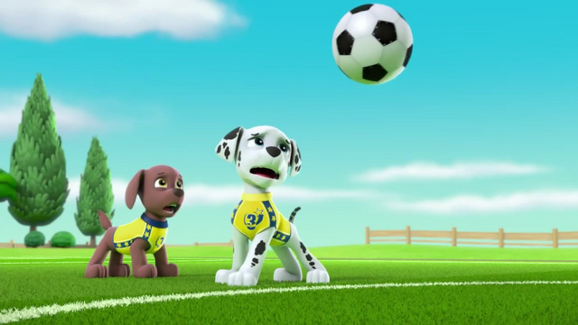 File:Pups Soccer 49.png