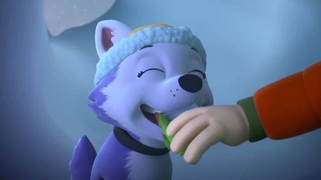 File:PAW.Patrol.S02E07.The.New.Pup.720p.WEBRip.x264.AAC 592759.jpg