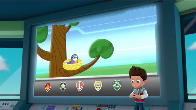 File:PAW Patrol Pups Save the Songbirds Scene 16.jpg