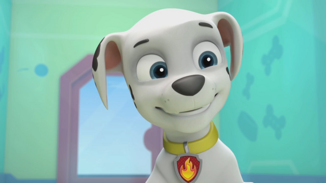 File:Pp777.png