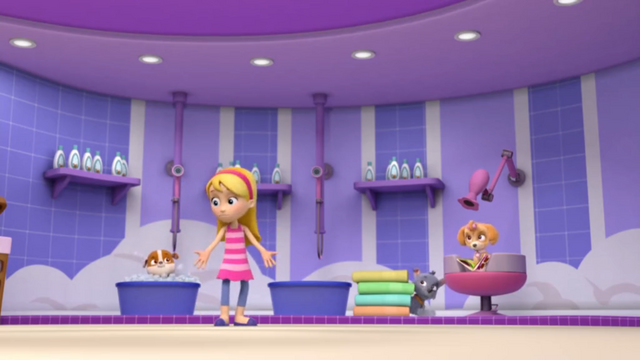 File:Where is Rocky.png