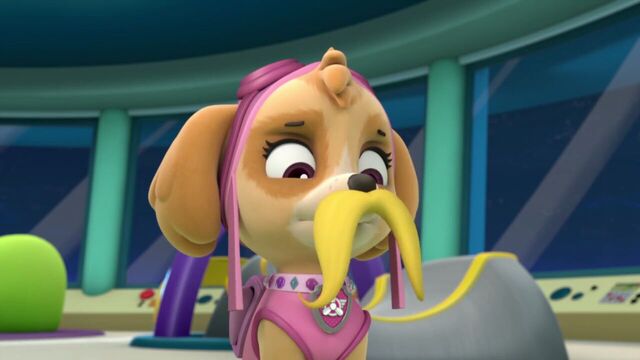Image - PAW.Patrol.S01E12.Pups.and.the.Ghost.Pirate.720p.WEBRip.x264.AAC 690423.jpg | PAW Patrol