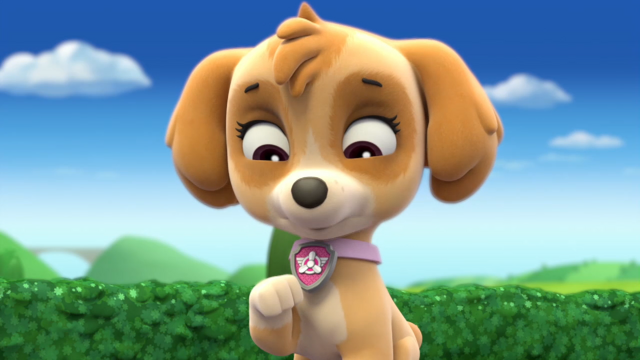 File:Pp871.png