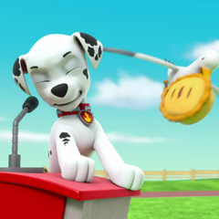 paw patrol pups save a lucky collar