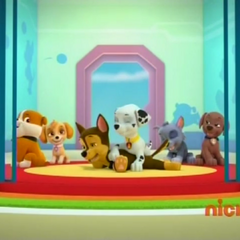 Rocky/Gallery/Pups Save the Penguins | PAW Patrol Wiki | Fandom powered by Wikia