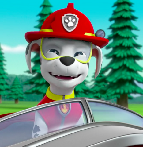 File:Screenshot 2017-05-19 10.21.24.png