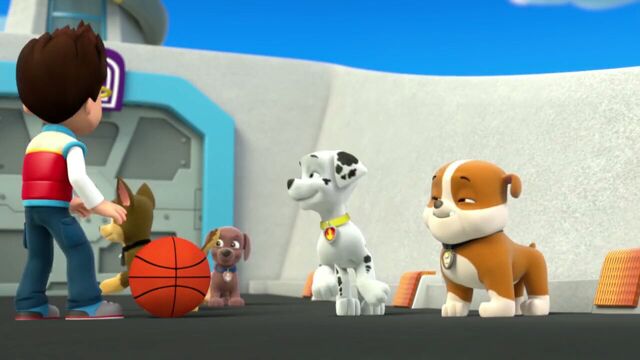 File:PAW.Patrol.S01E26.Pups.and.the.Pirate.Treasure.720p.WEBRip.x264.AAC 151918.jpg