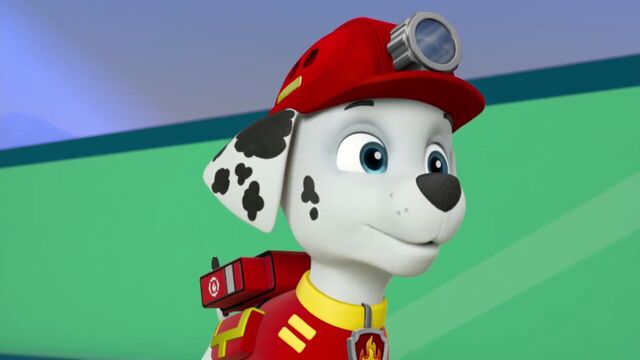 File:PAW.Patrol.S02E07.The.New.Pup.720p.WEBRip.x264.AAC 175609.jpg