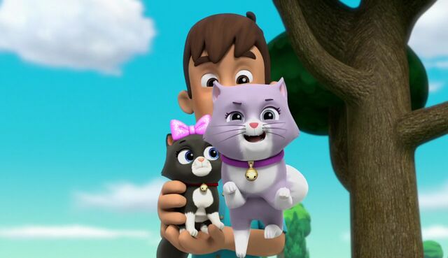 File:The Cat Show 4.jpg