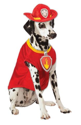 File:Pet costume- Marshall.jpg