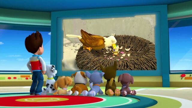 File:PAW.Patrol.S01E21.Pups.Save.the.Easter.Egg.Hunt.720p.WEBRip.x264.AAC 1357389.jpg