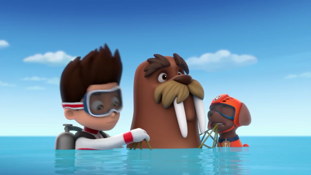 File:Screenshot 2016-12-12-11-48-39.png