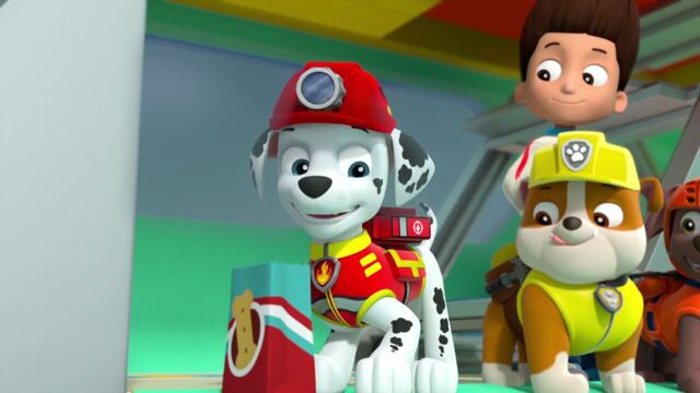 File:PAW.Patrol.S02E07.The.New.Pup.720p.WEBRip.x264.AAC 1212645.jpg