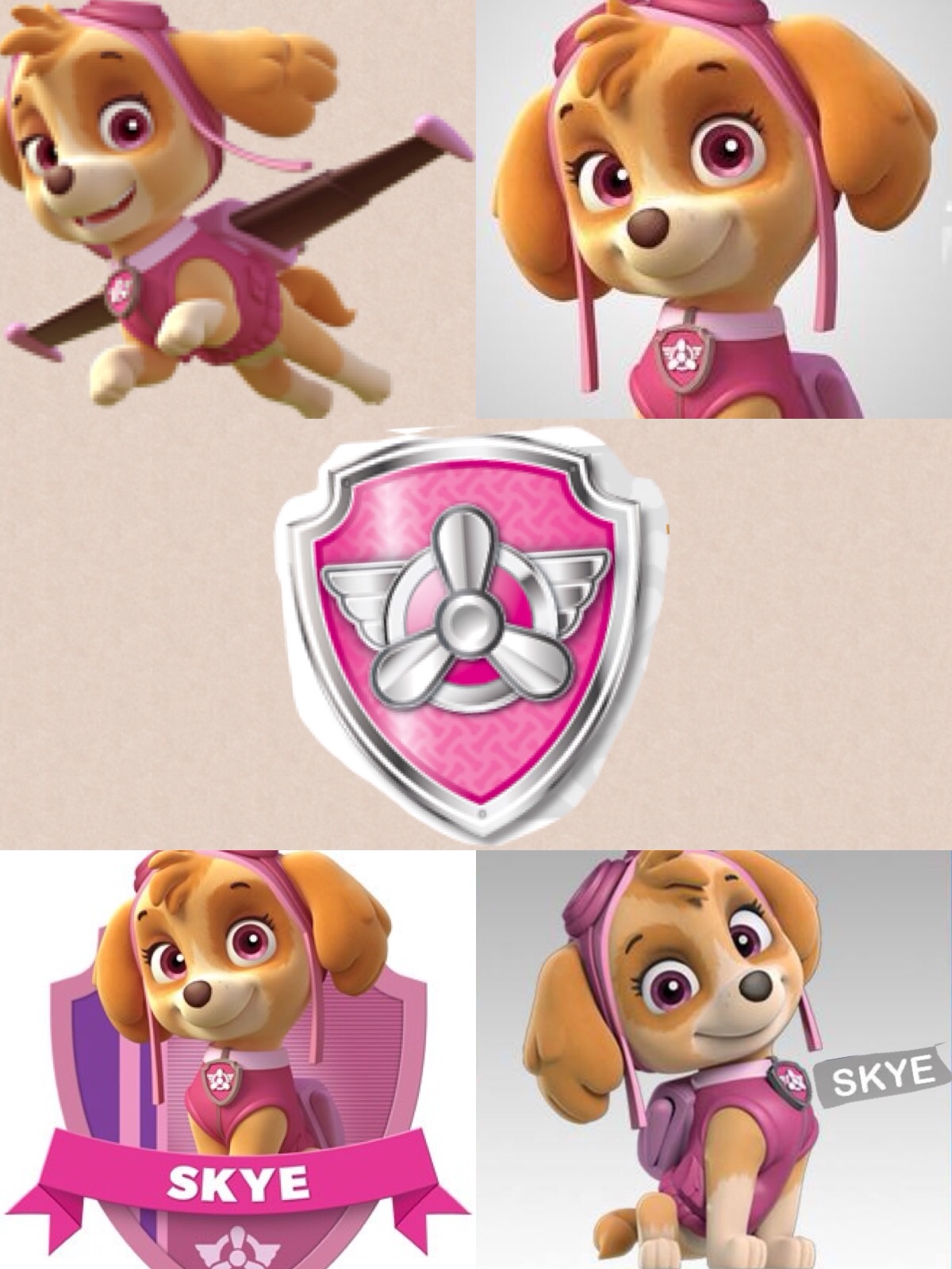 Paw Patrol Skye Gallery