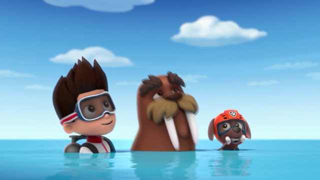 File:Screenshot 2016-12-12-11-47-57.png