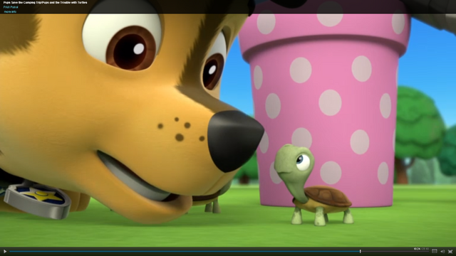 File:Pp67.png