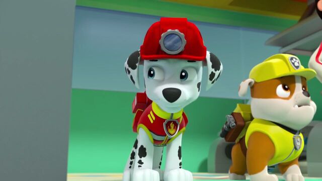 File:PAW.Patrol.S02E07.The.New.Pup.720p.WEBRip.x264.AAC 1269201.jpg