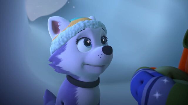File:PAW.Patrol.S02E07.The.New.Pup.720p.WEBRip.x264.AAC 571905.jpg